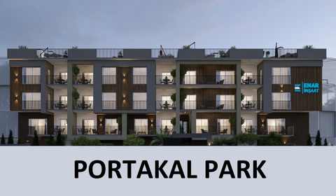 PORTAKAL 1